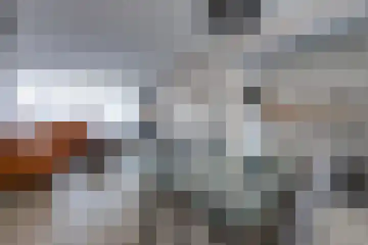 Dr. Koppiusstraat 29 Ter Apel thumbnail 10