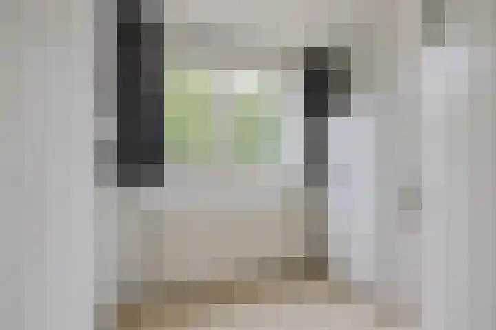 Dr. Koppiusstraat 32 Ter Apel thumbnail 21