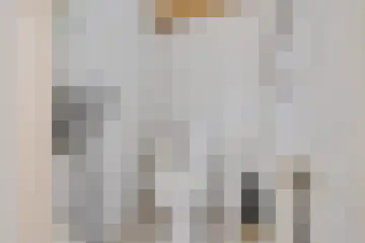 Dr. Koppiusstraat 32 Ter Apel thumbnail 5