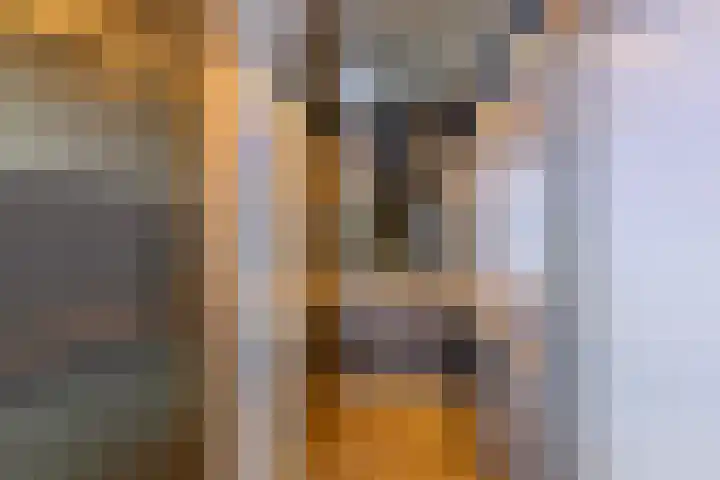 Dr. Kortmannstraat 25 Zoeterwoude thumbnail 10