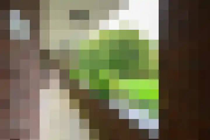Dr. Kortmannstraat 25 Zoeterwoude thumbnail 13