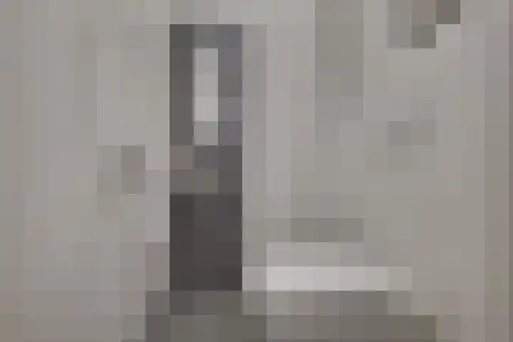Dr. Kortmannstraat 25 Zoeterwoude thumbnail 16