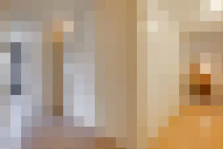 Dr. Kortmannstraat 25 Zoeterwoude thumbnail 18