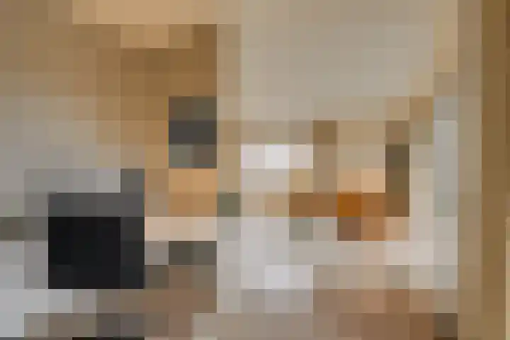 Dr. Kortmannstraat 25 Zoeterwoude thumbnail 27