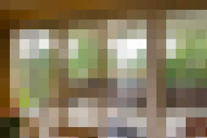 Dr. Kortmannstraat 25 Zoeterwoude thumbnail 33