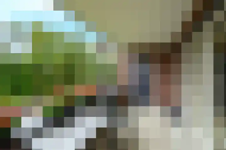 Dr. Kortmannstraat 25 Zoeterwoude thumbnail 35