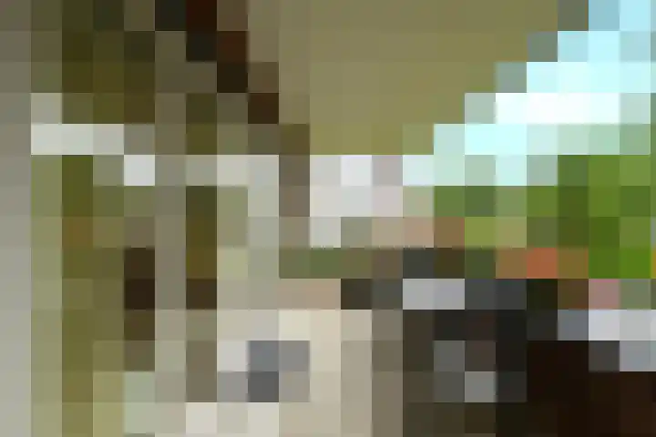 Dr. Kortmannstraat 25 Zoeterwoude thumbnail 36