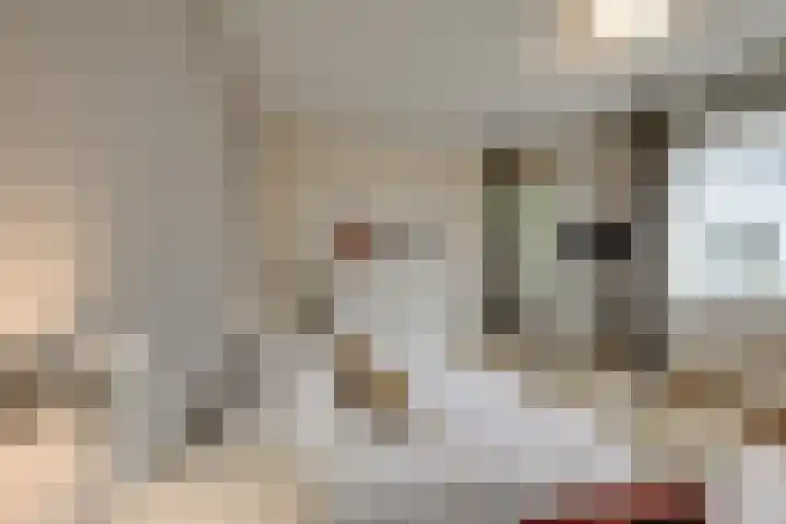 Dr. Kortmannstraat 25 Zoeterwoude thumbnail 40