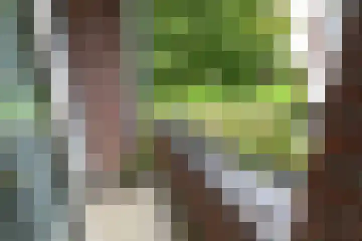 Dr. Kortmannstraat 25 Zoeterwoude thumbnail 46