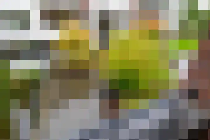 Dr. Kortmannstraat 25 Zoeterwoude thumbnail 47