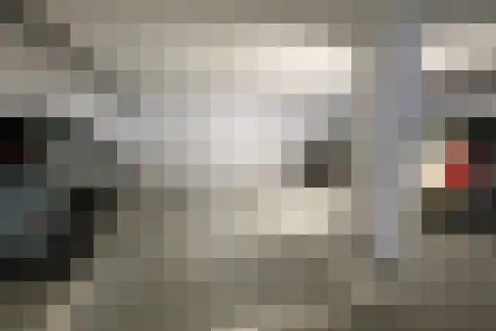 Dr. Kortmannstraat 25 Zoeterwoude thumbnail 55