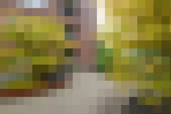 Dr. Kortmannstraat 25 Zoeterwoude thumbnail 6