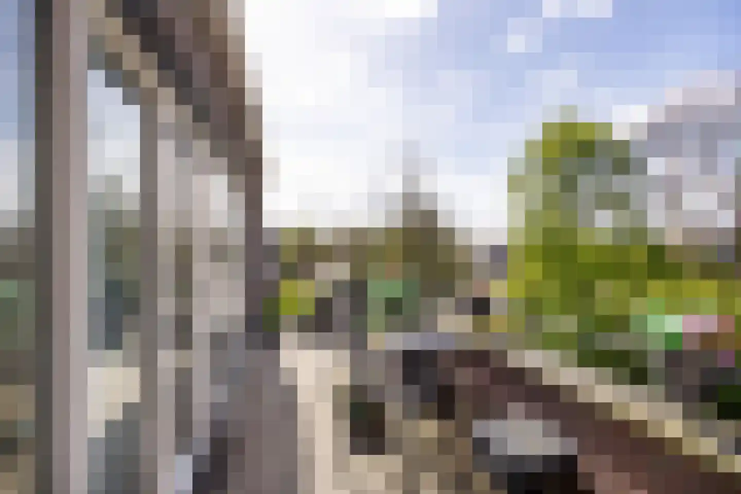 Dr. Kortmannstraat 29 Zoeterwoude thumbnail 20