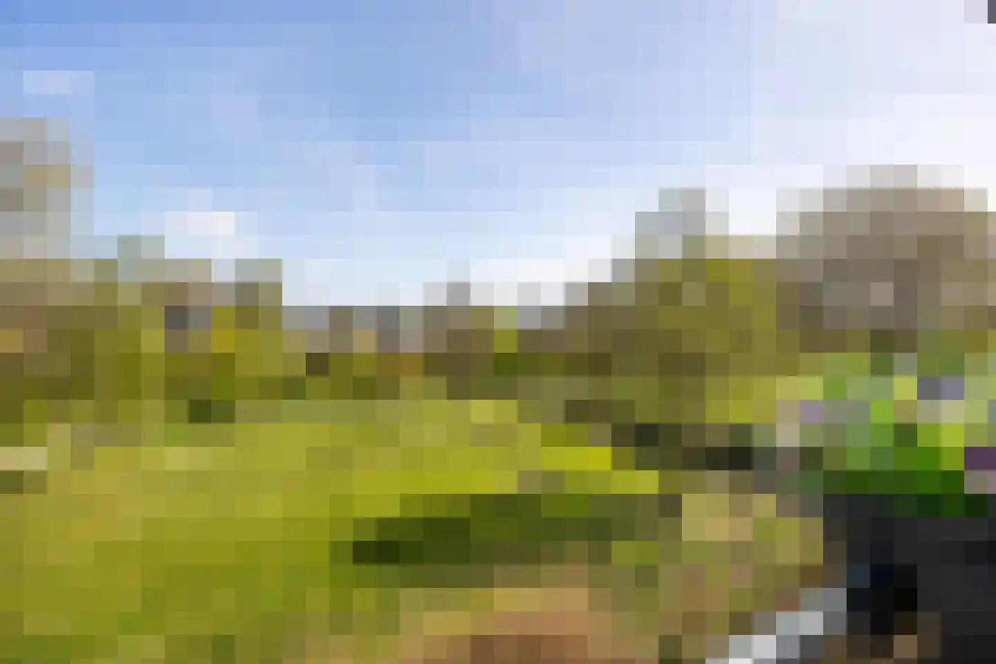 Dr. Kortmannstraat 29 Zoeterwoude thumbnail 22