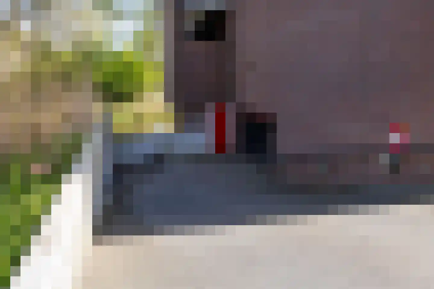 Dr. Kortmannstraat 29 Zoeterwoude thumbnail 25