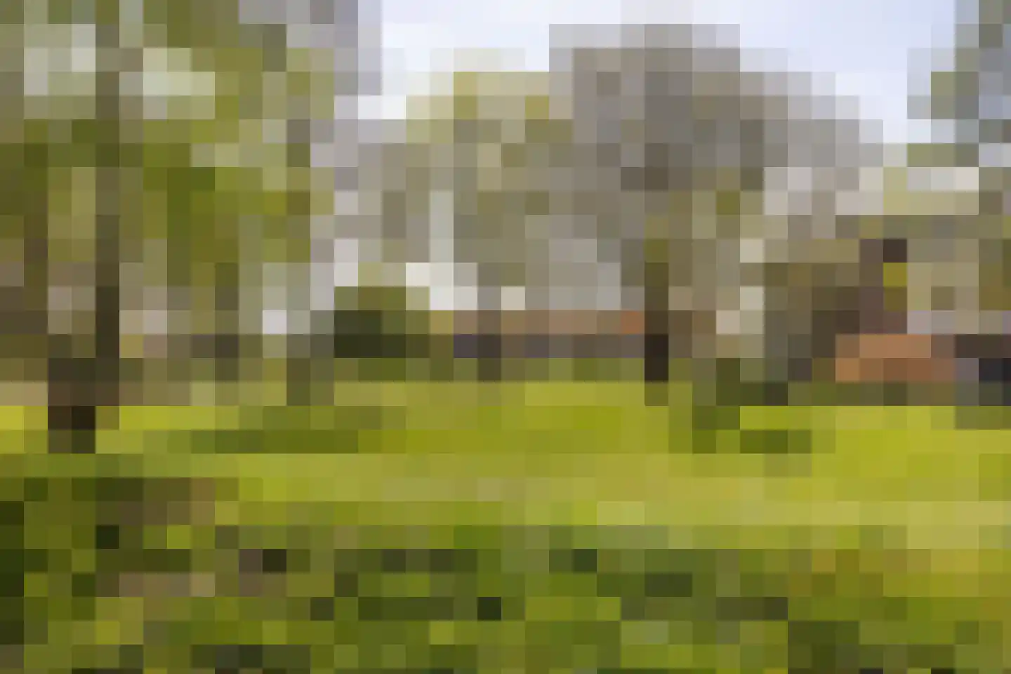 Dr. Kortmannstraat 29 Zoeterwoude thumbnail 29