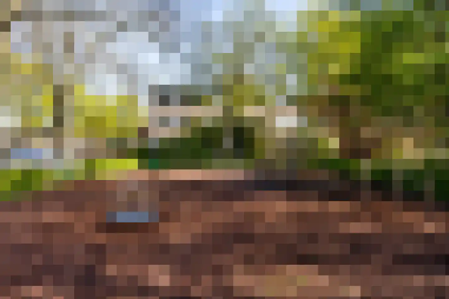 Dr. Kortmannstraat 29 Zoeterwoude thumbnail 30