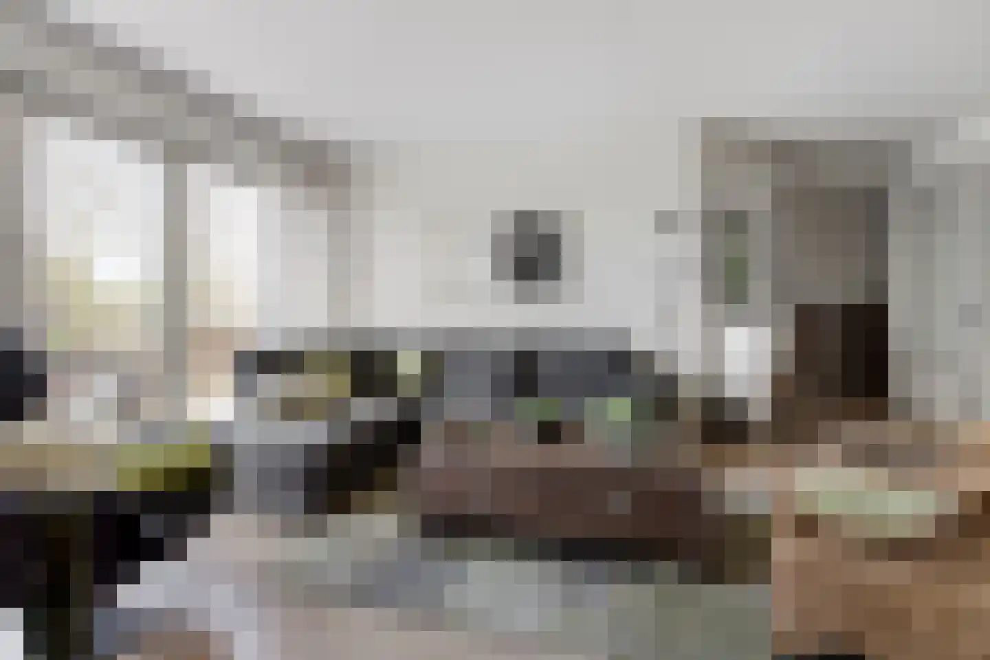 Dr. Kortmannstraat 29 Zoeterwoude thumbnail 6