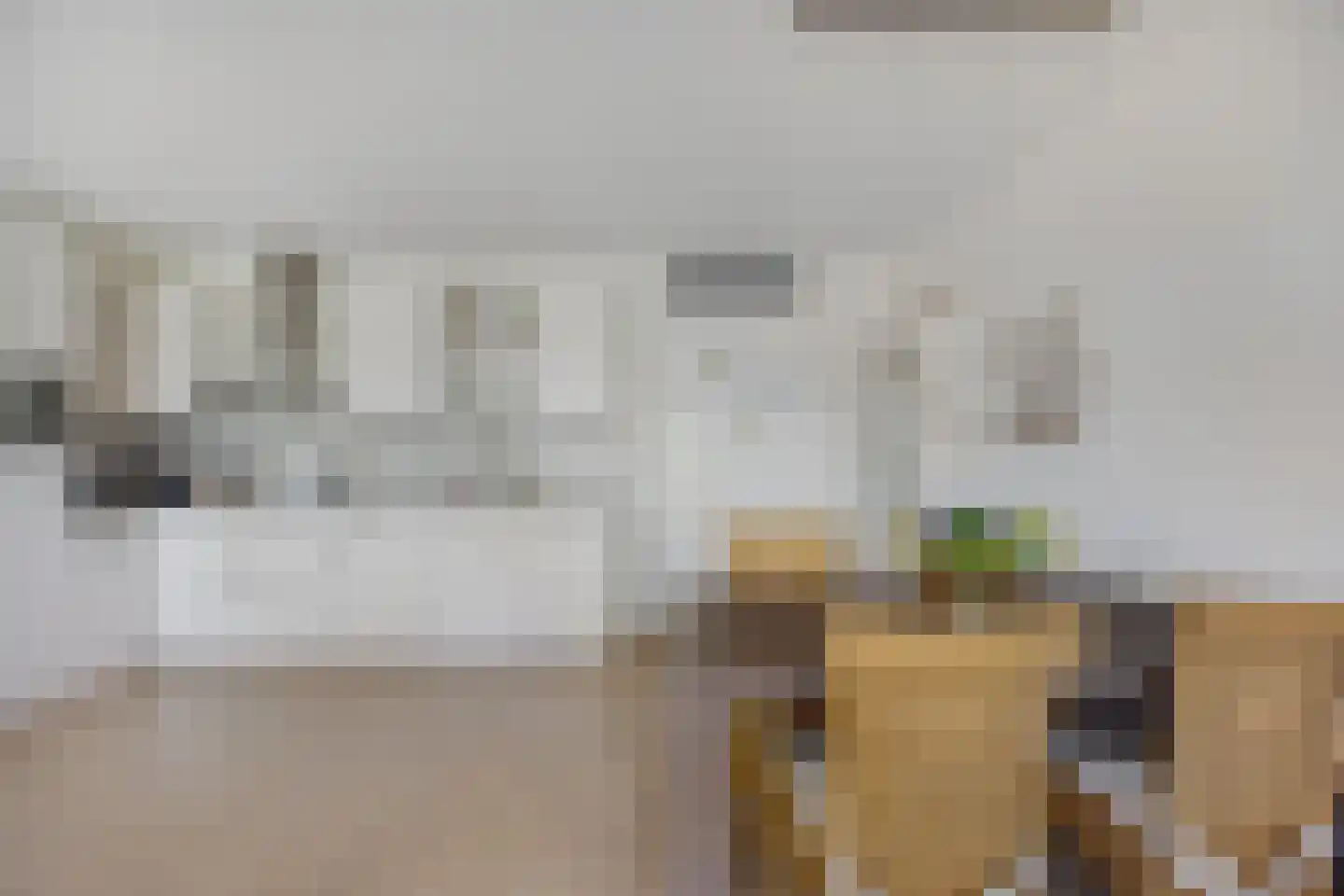 Dr. Kortmannstraat 29 Zoeterwoude thumbnail 9