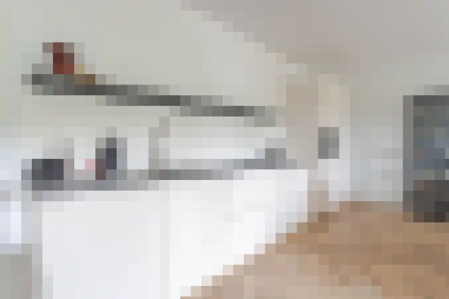 Dr. Kortmannstraat 9 Zoeterwoude thumbnail 11
