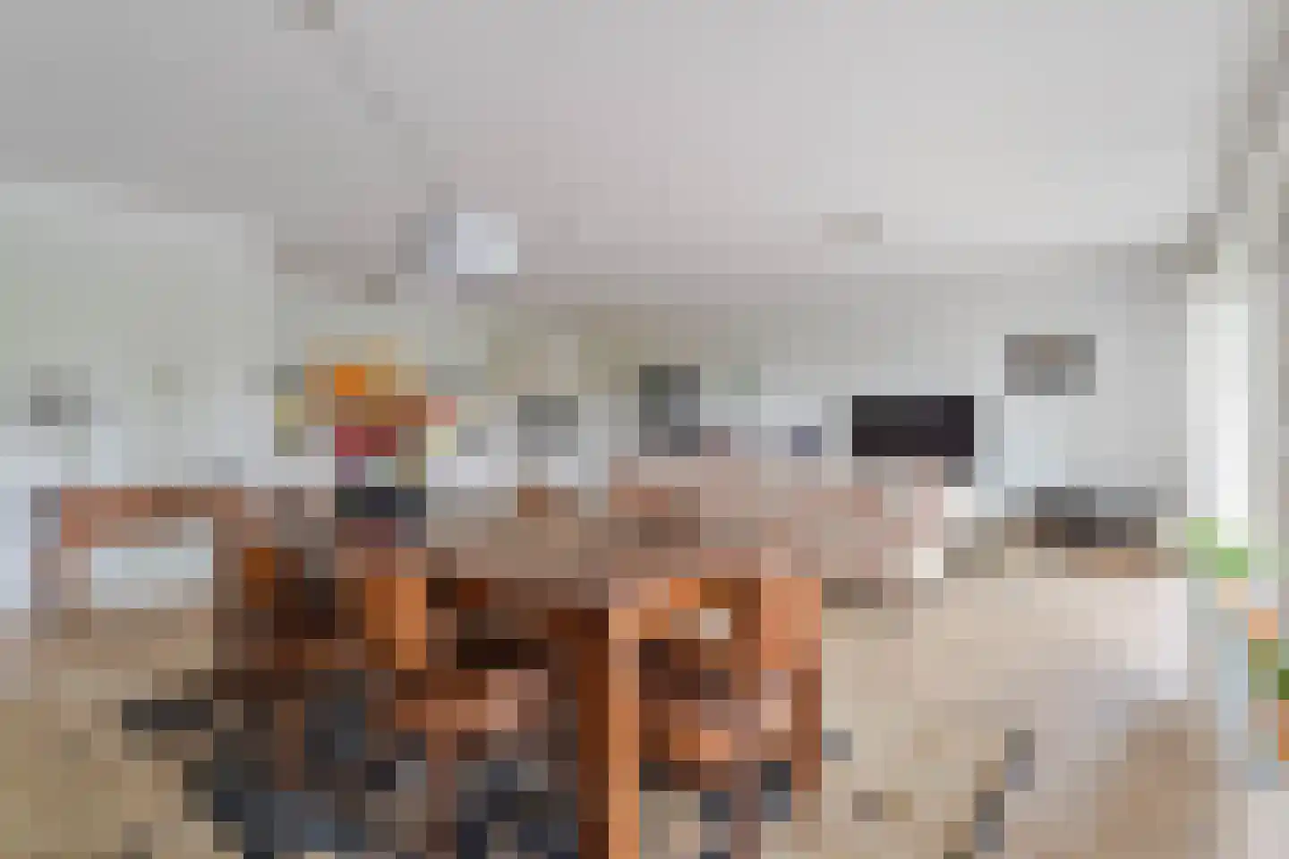 Dr. Kortmannstraat 9 Zoeterwoude thumbnail 13