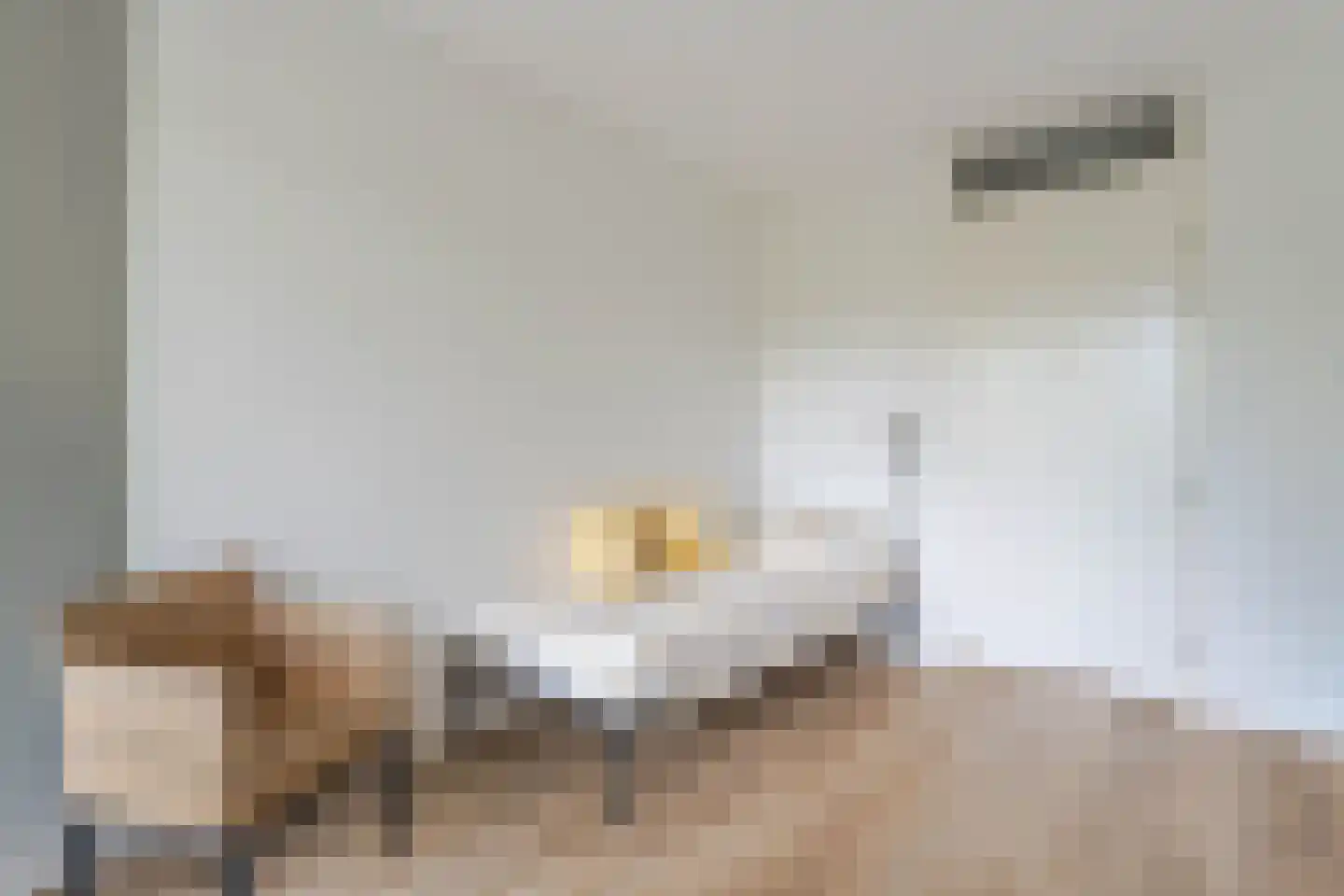 Dr. Kortmannstraat 9 Zoeterwoude thumbnail 20