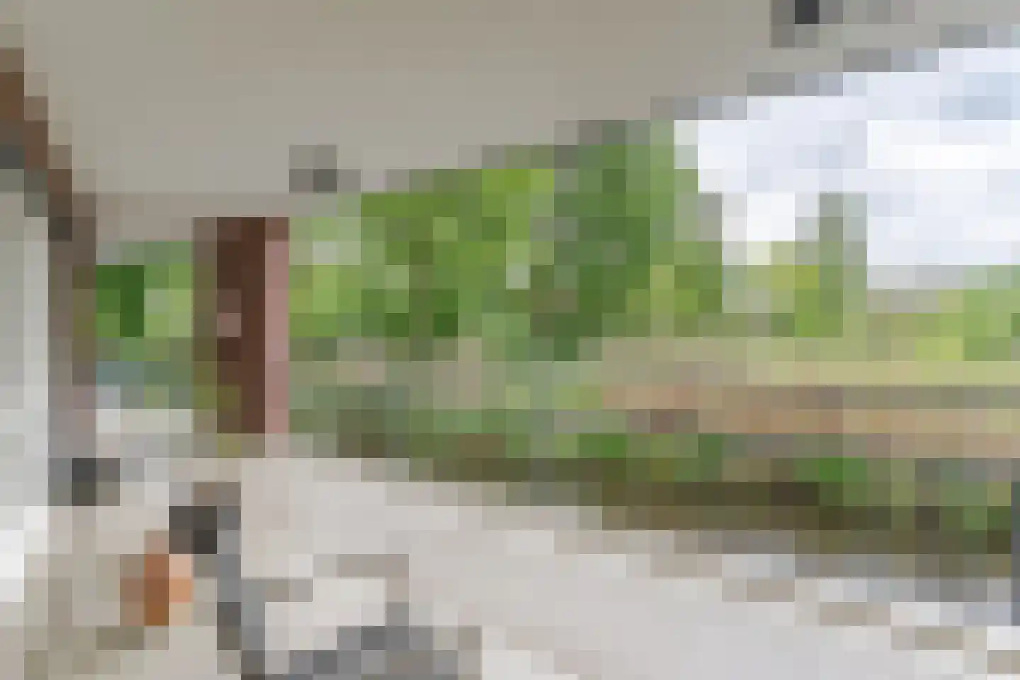 Dr. Kortmannstraat 9 Zoeterwoude thumbnail 22
