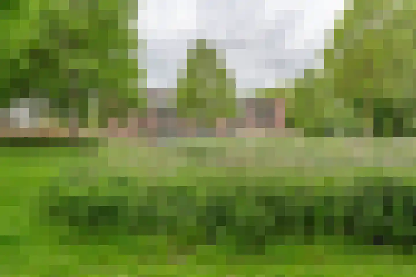Dr. Kortmannstraat 9 Zoeterwoude thumbnail 29