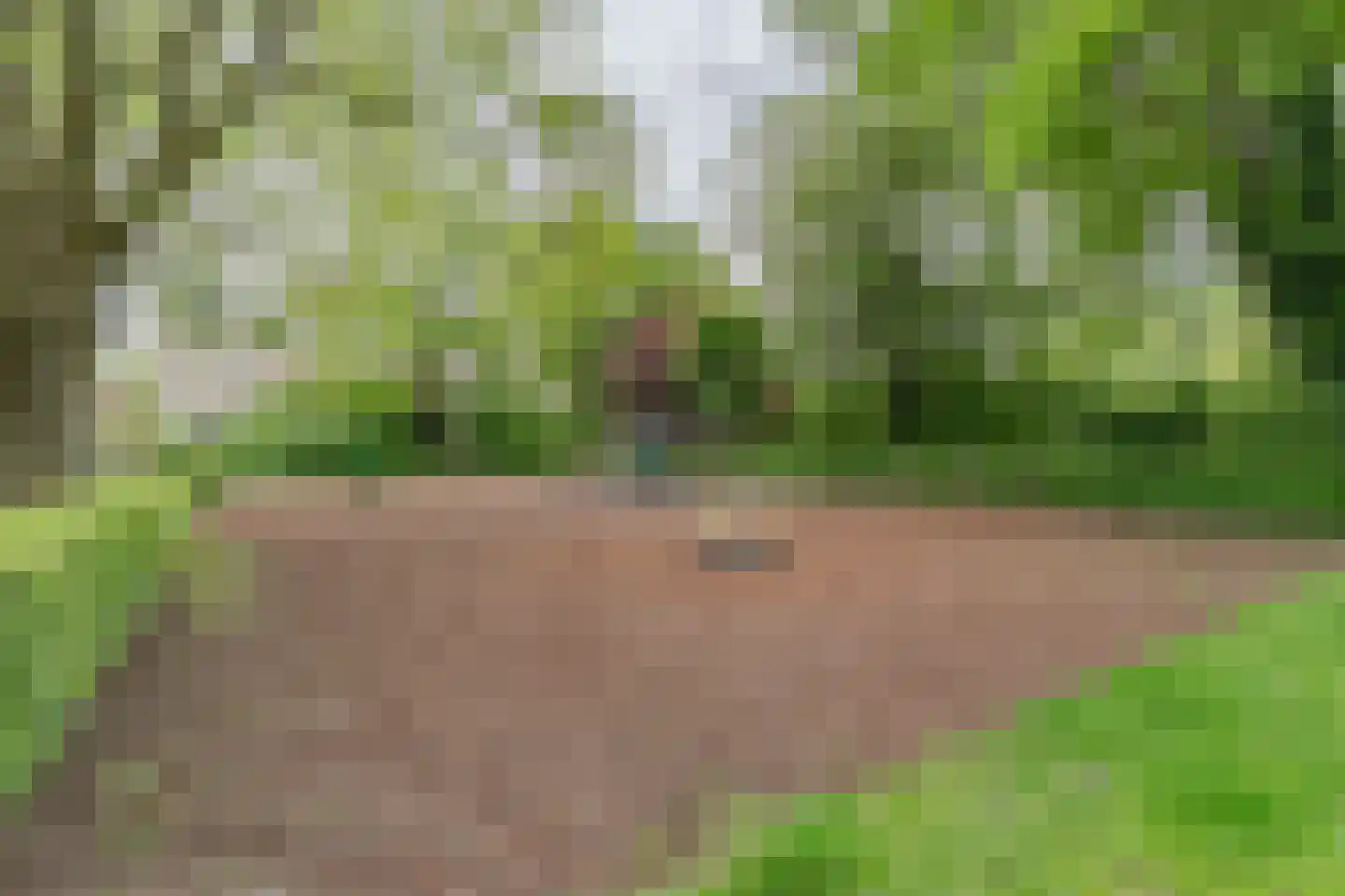 Dr. Kortmannstraat 9 Zoeterwoude thumbnail 30