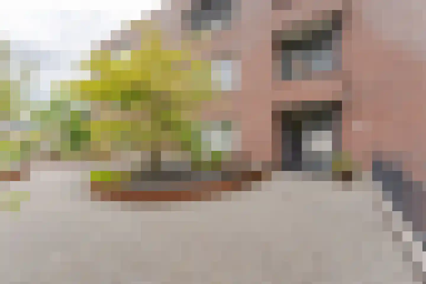 Dr. Kortmannstraat 9 Zoeterwoude thumbnail 4