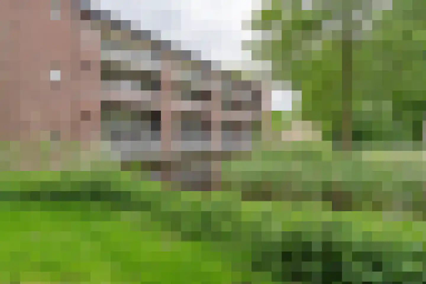 Dr. Kortmannstraat 9 Zoeterwoude thumbnail 5