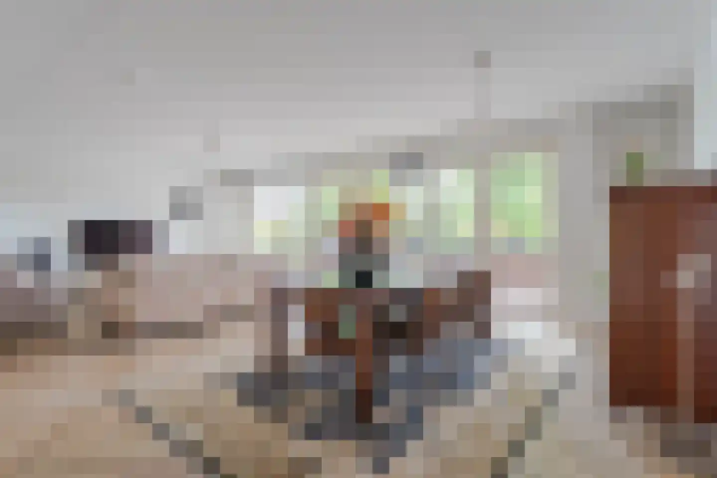 Dr. Kortmannstraat 9 Zoeterwoude thumbnail 7
