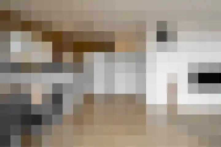 Dr. Kortmannstraat 95 Zoeterwoude thumbnail 17