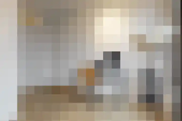 Dr. Kortmannstraat 95 Zoeterwoude thumbnail 32