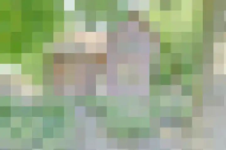 Dr. Kortmannweg 1 in Venray