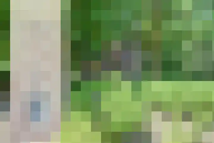 Dr. Kortmannweg 1 Venray thumbnail 10