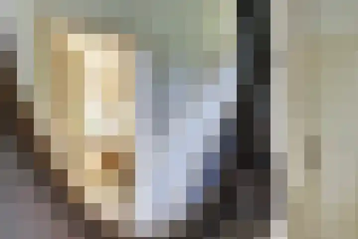 Dr. Kortmannweg 1 Venray thumbnail 11