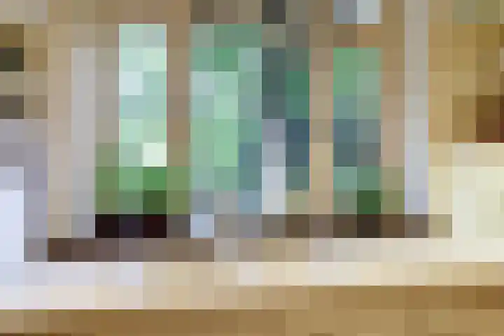 Dr. Kortmannweg 1 Venray thumbnail 18