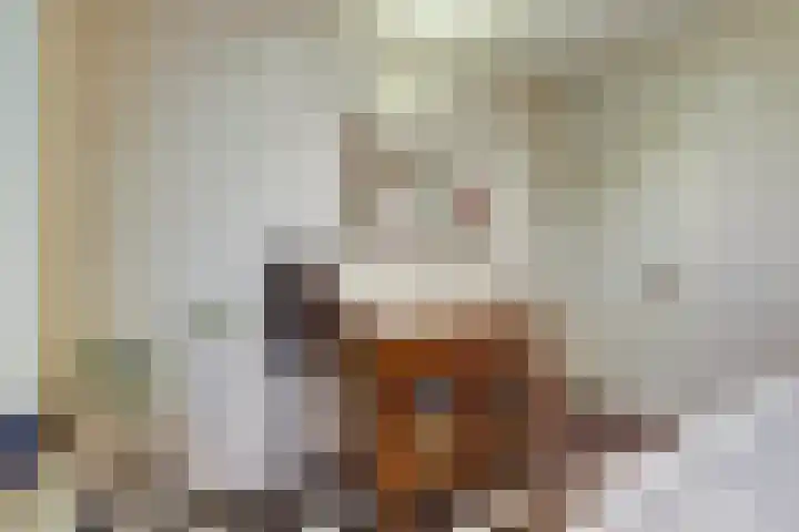Dr. Kortmannweg 1 Venray thumbnail 40