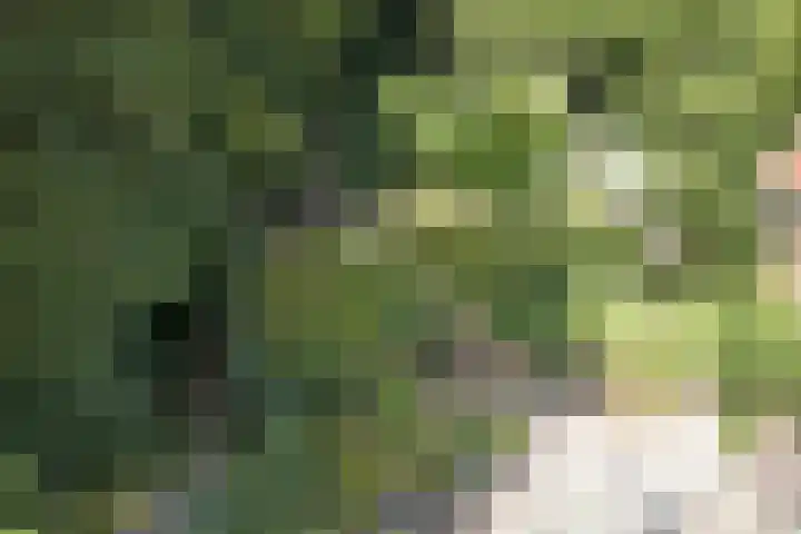 Dr. Kortmannweg 1 Venray thumbnail 46