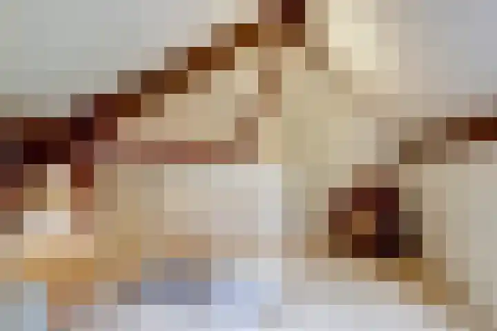 Dr. Kortmannweg 1 Venray thumbnail 47