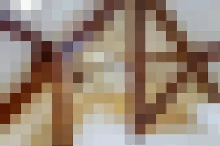 Dr. Kortmannweg 1 Venray thumbnail 48