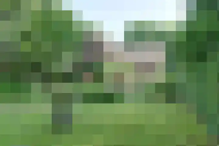 Dr. Kortmannweg 1 Venray thumbnail 5
