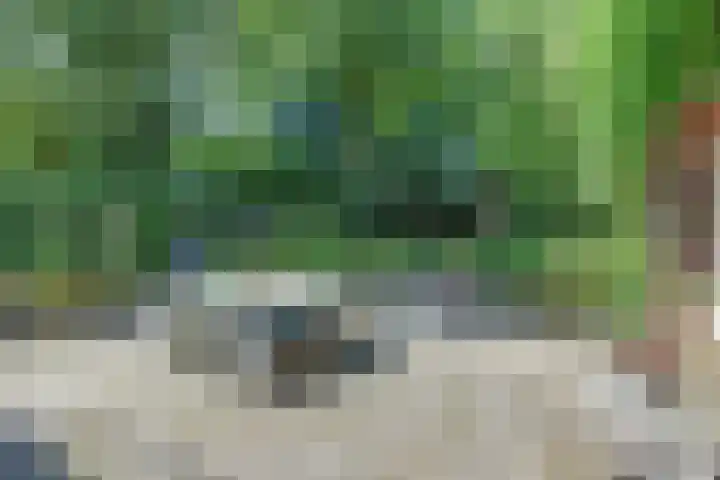 Dr. Kortmannweg 1 Venray thumbnail 52