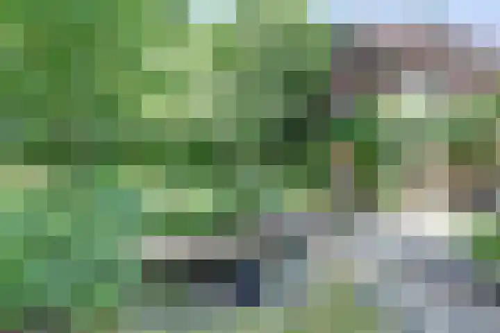 Dr. Kortmannweg 1 Venray thumbnail 53