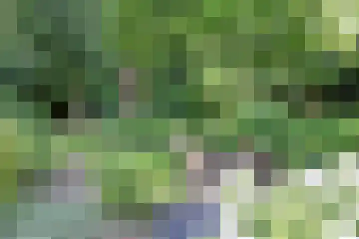 Dr. Kortmannweg 1 Venray thumbnail 54
