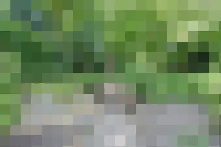Dr. Kortmannweg 1 Venray thumbnail 55