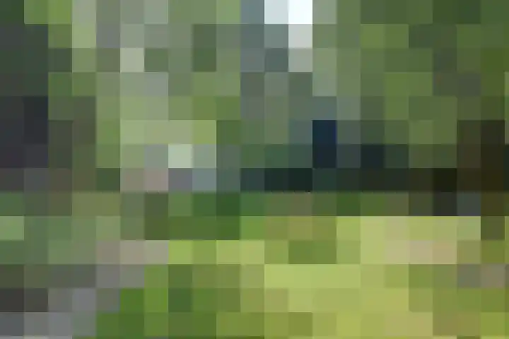 Dr. Kortmannweg 1 Venray thumbnail 56