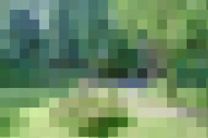 Dr. Kortmannweg 1 Venray thumbnail 57