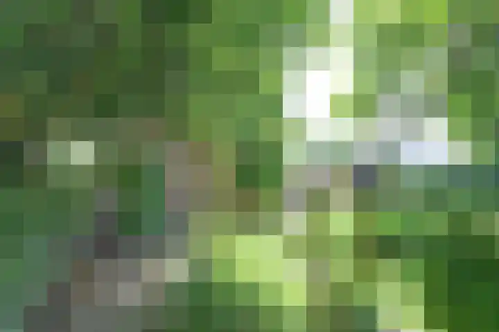 Dr. Kortmannweg 1 Venray thumbnail 58